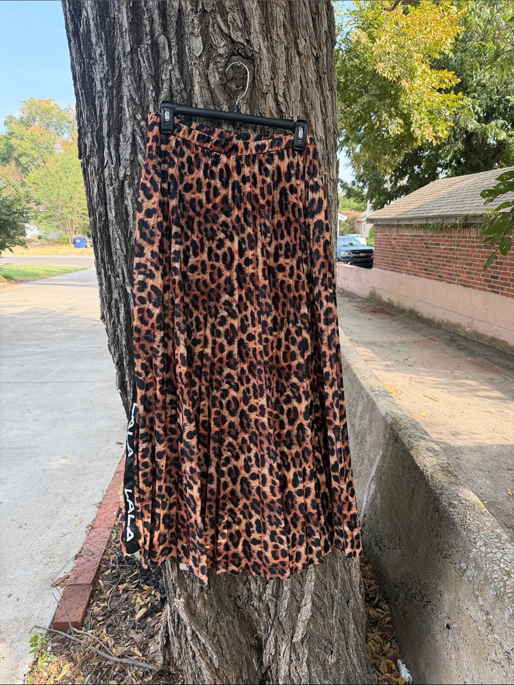 Dressed in LALA Leopard Print Maxi Skirt - Brown & Black